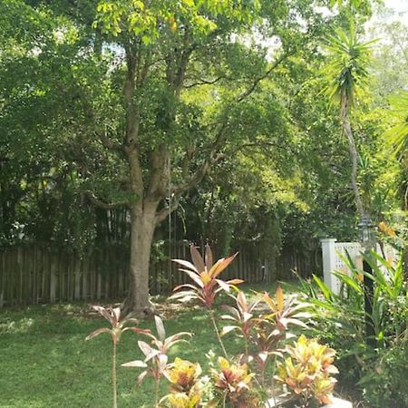 Apts With Backyard Near Fort Lauderdale Beach, Nightlife, Cruise Port, Airport Buitenkant foto